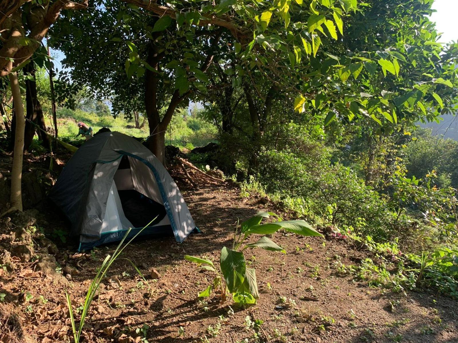 Clan Boho Hostel Rishīkesh Buitenkant foto